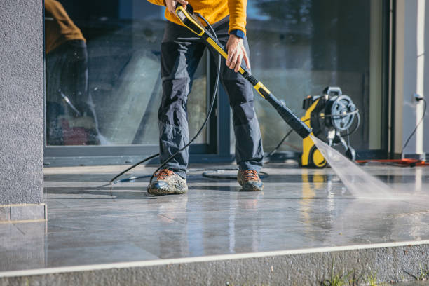 Best Roof Washing  in Scandia, MN